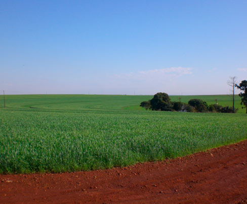 Silka Topografia e Consultoria Agrícola